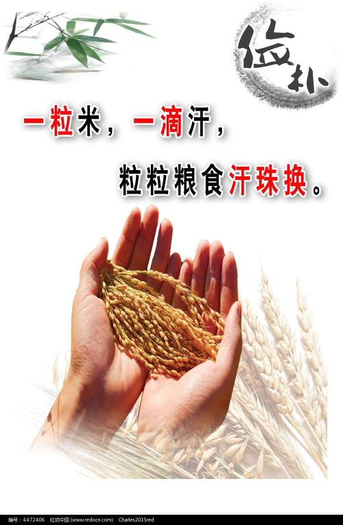 怎么做假护土执业证书
